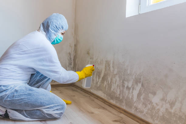 Mold Remediation specialist working in Wittman